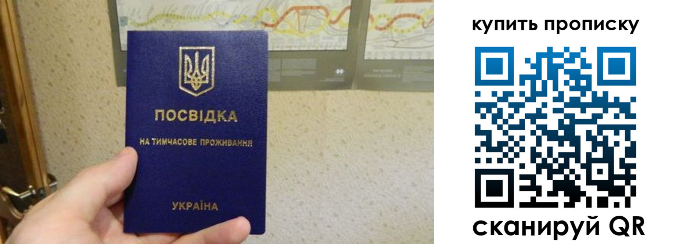 временная регистрация поиск в Красном Куте